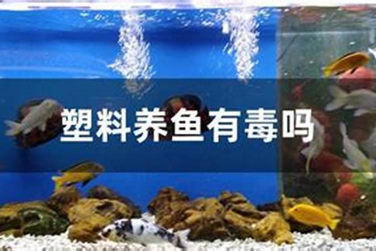 鱼缺氧了能不能撒复合肥料