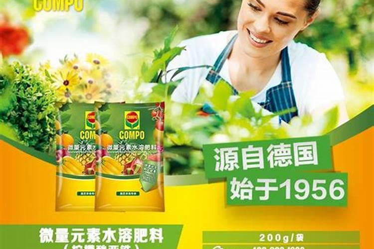 芸苔素内脂在大樱桃树上的具体使用配比