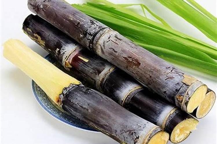 甘蔗用什么肥料才会长得肥大