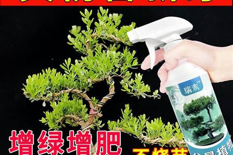 玉肥和普通肥料有什么区别？