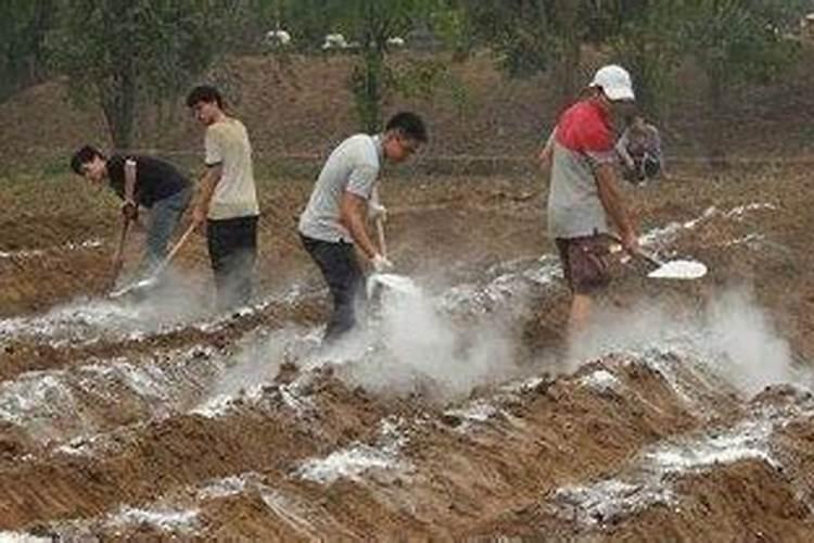 磷肥不能和什么肥混施