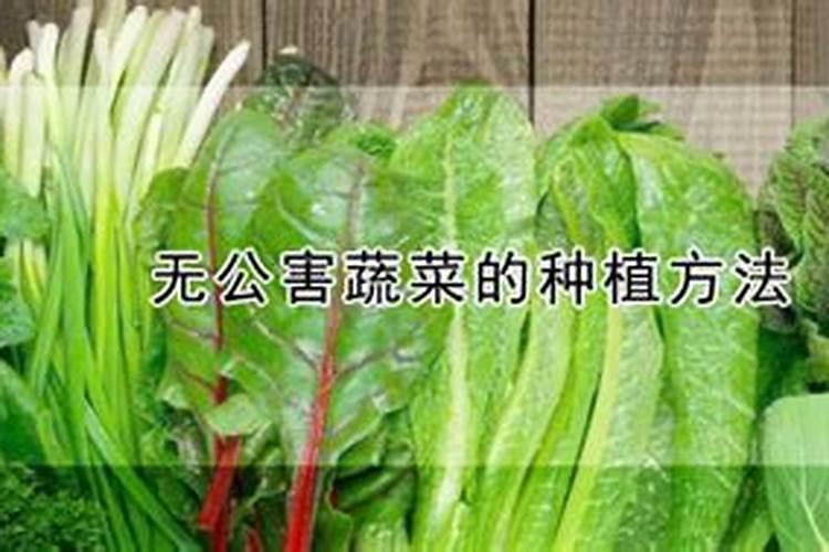 氮磷钾肥分别有什么作用
