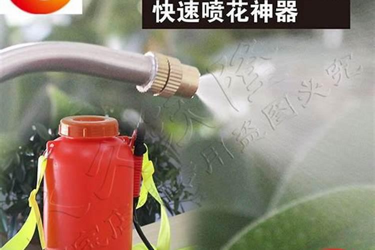 种植有机蔬菜需要什么条件
