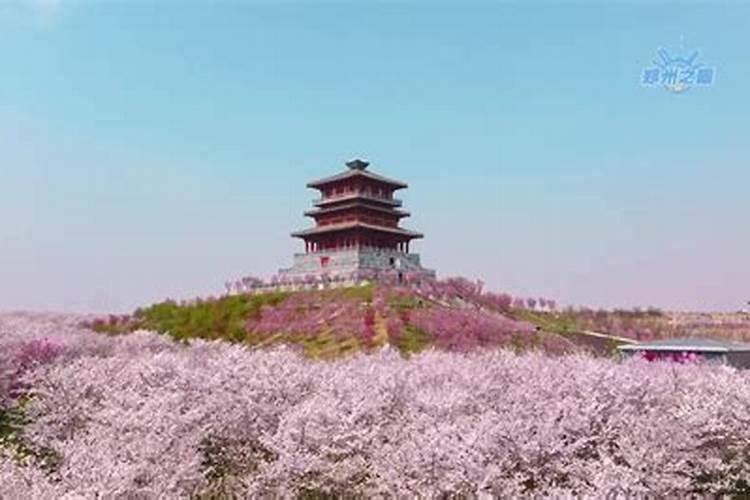 叶面肥喷施方法是什么？喷施叶面肥时有哪些注意事项？