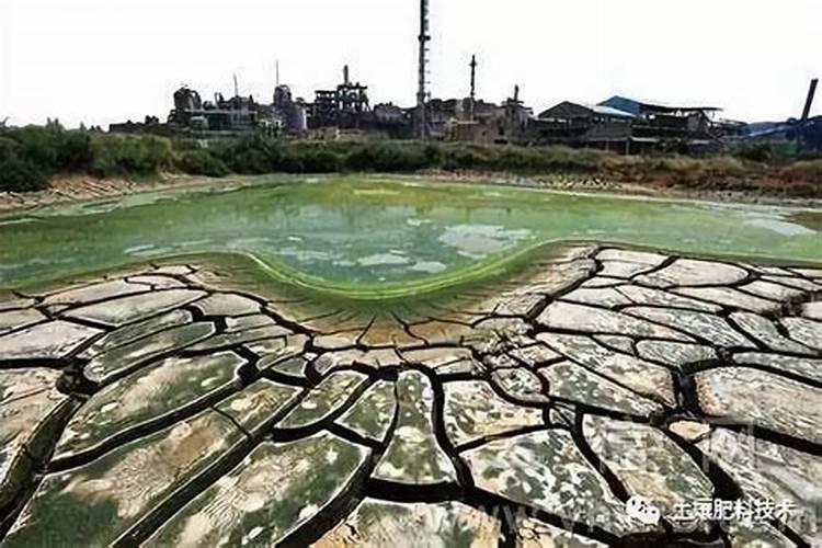 竹笋施肥用什么肥料