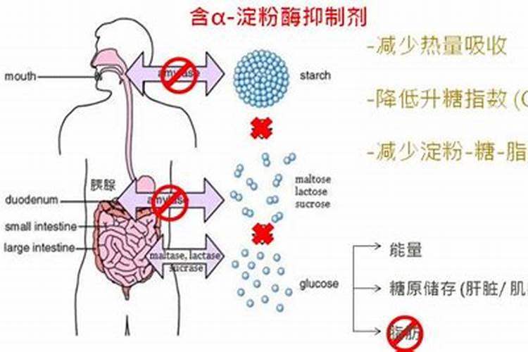 猕猴桃沟施好还是撒上直接旋好？
