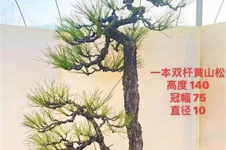 茄子施肥用哪种肥料好？