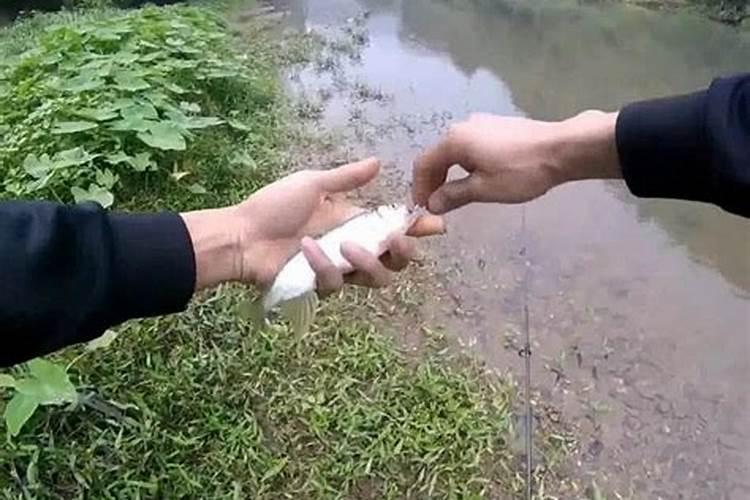 土豆用什么肥料高产 土豆的施肥管理