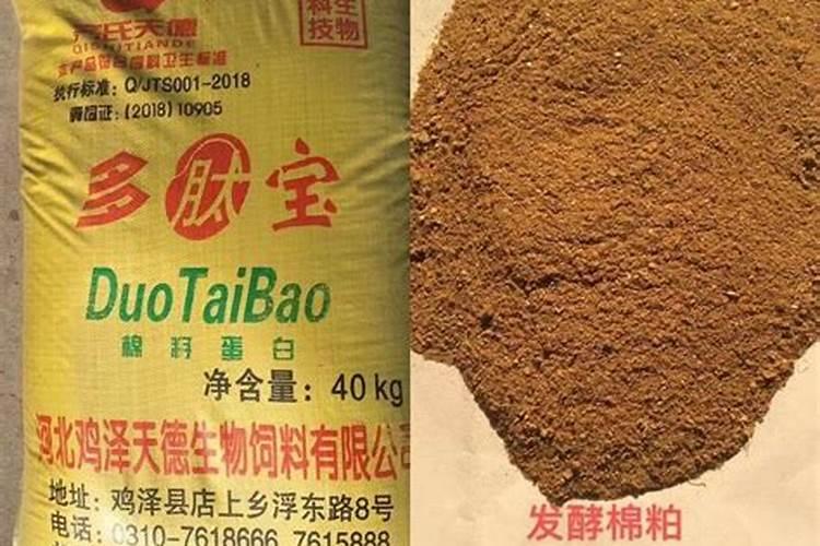 叶面肥是什么