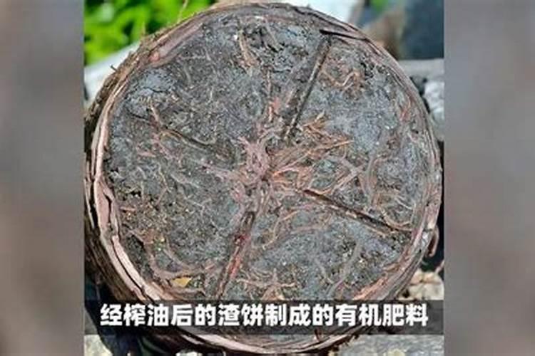 内乡县是属于哪里