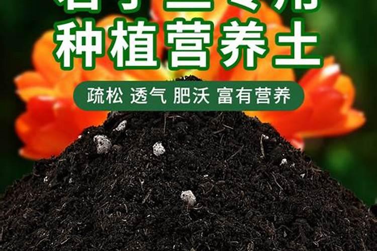 氢铵什么时候施肥好