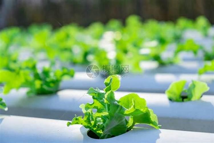 磷肥运输时淋湿了还有用吗？