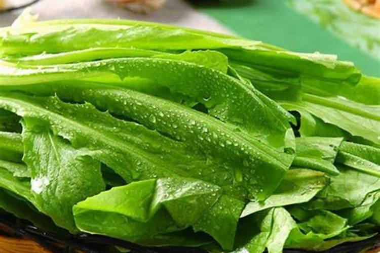 秋季桃树芽接可以把牙点包上吗