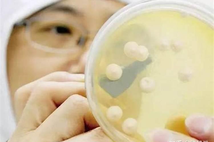 鱼蛋白肥料制作方法