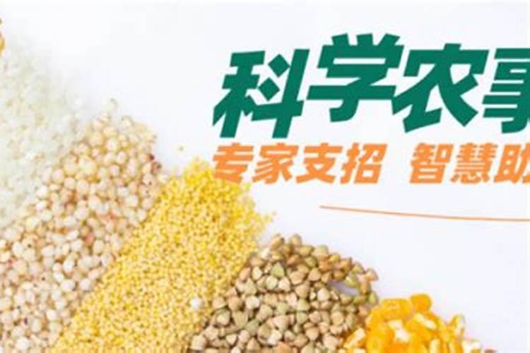 为什么250的糖里不能加钾