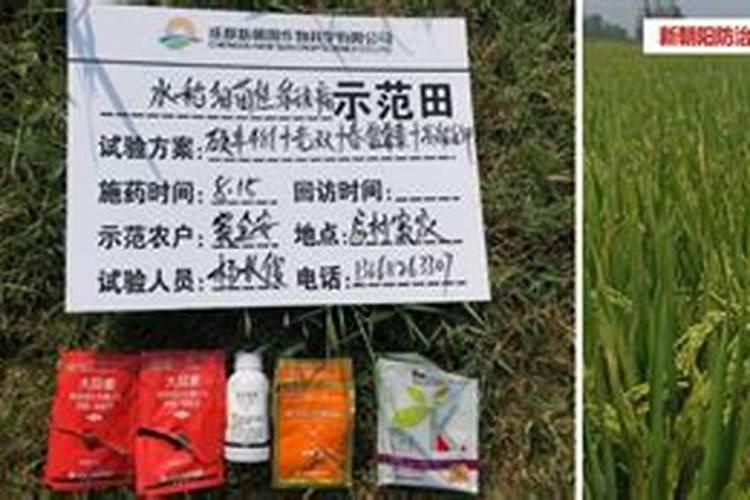 小葱可以撒尿素吗