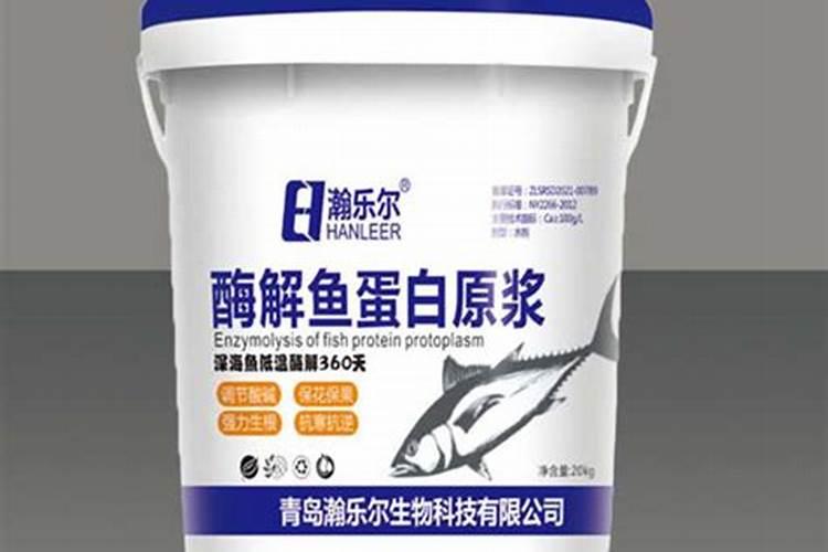 兰花施肥的正确方法和用什么肥