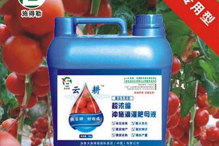 西红柿坐果后应怎样施肥？