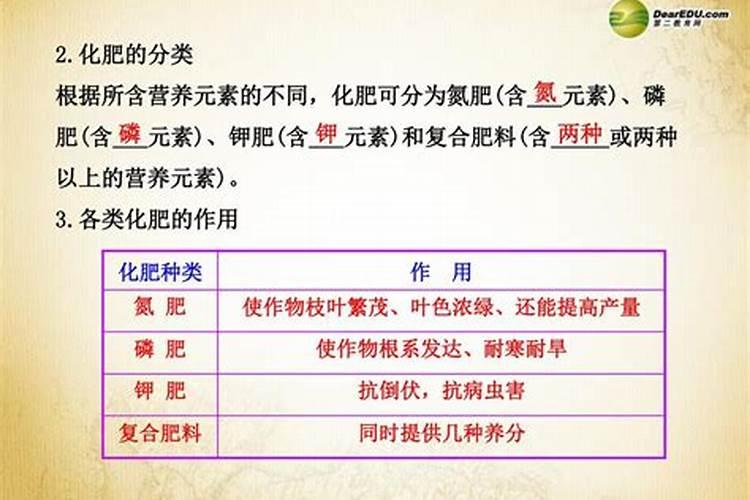 怎样养黑马鱼
