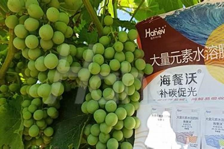 钾肥对植物的作用