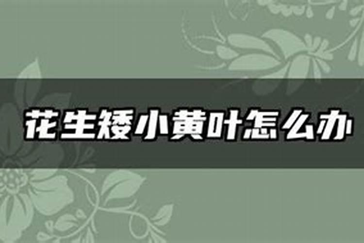 花生地的肥料多了 怎么办？