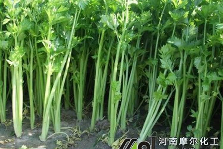 武功绝招名称都有什么？