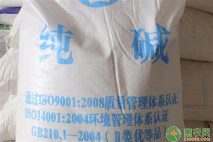 葡萄树在幼苗期间,需要施多少肥料比较合适？