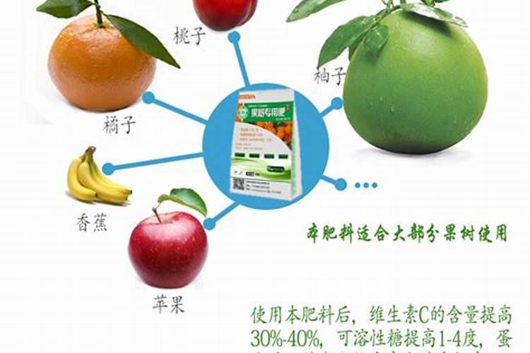 高压荔枝树栽培能挂果吗要多久挂果谢谢