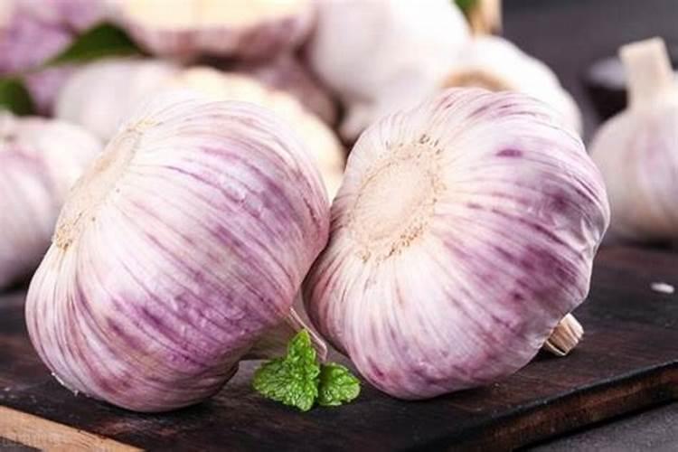 种大蒜用什么肥料最好
