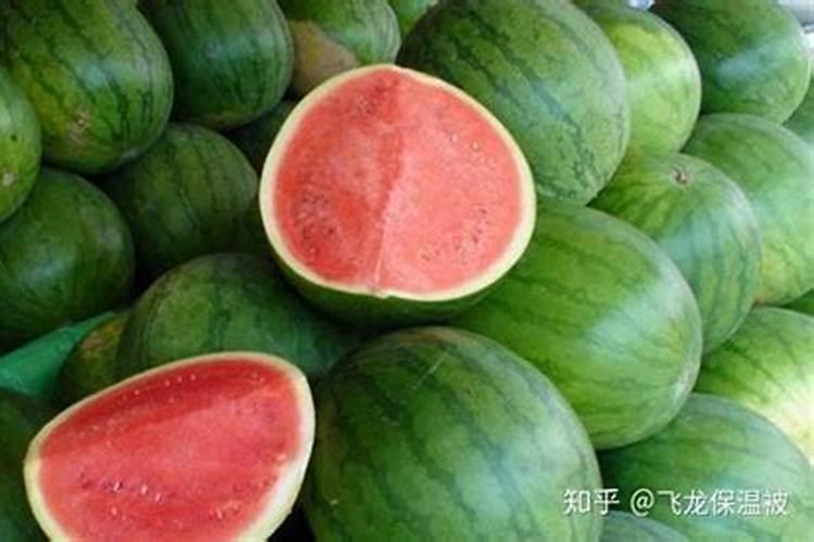 蔬菜氮素过剩会出现哪些症状？
