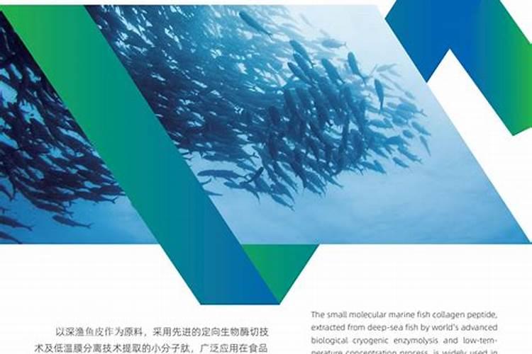 兰花浇什么肥料合适