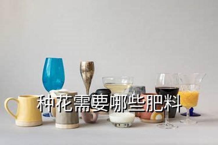 四季山茶花的养殖方法 盆栽 家庭