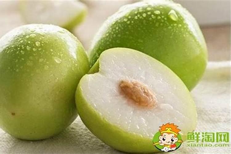 多肉植物施什么肥容易爆盆