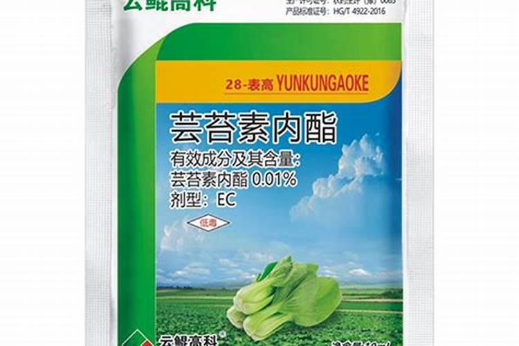 茶籽油如果过期2年以上还可以食用吗？它真的能当药油吗？