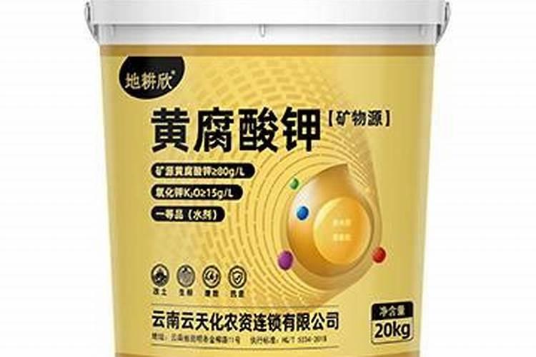 小麦打芸苔素好吗 小麦打芸苔素是否可以
