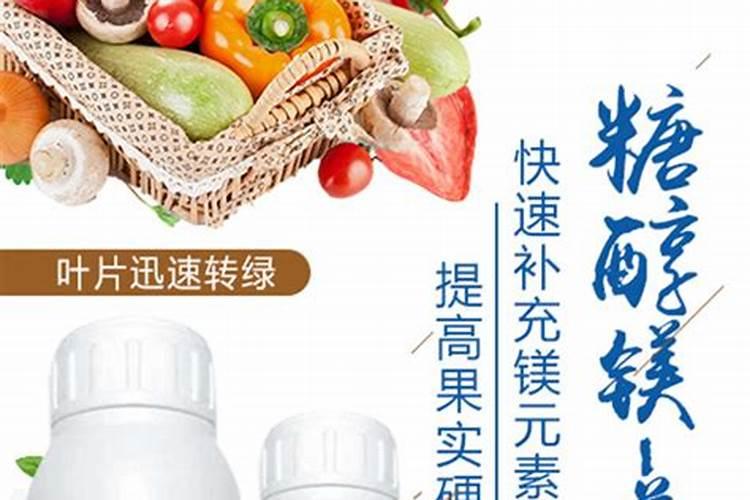 钾肥虽好用量须控制 君子兰怎么施钾肥