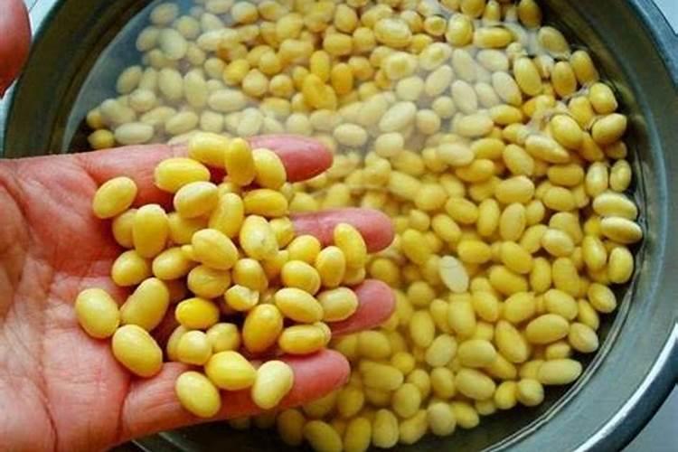 生物肥和有机肥的区别