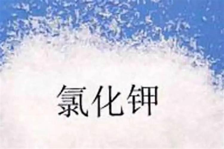 黄瓜缺钙有什么症状