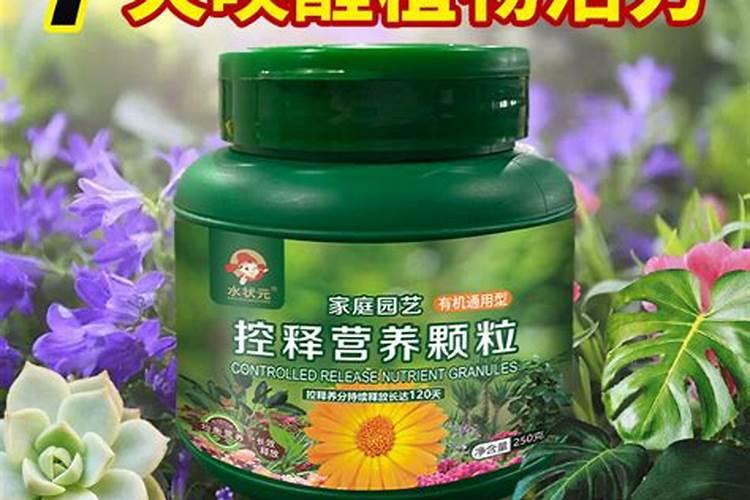 桔子果树开花期有蚜虫,怎么治不影响结果？