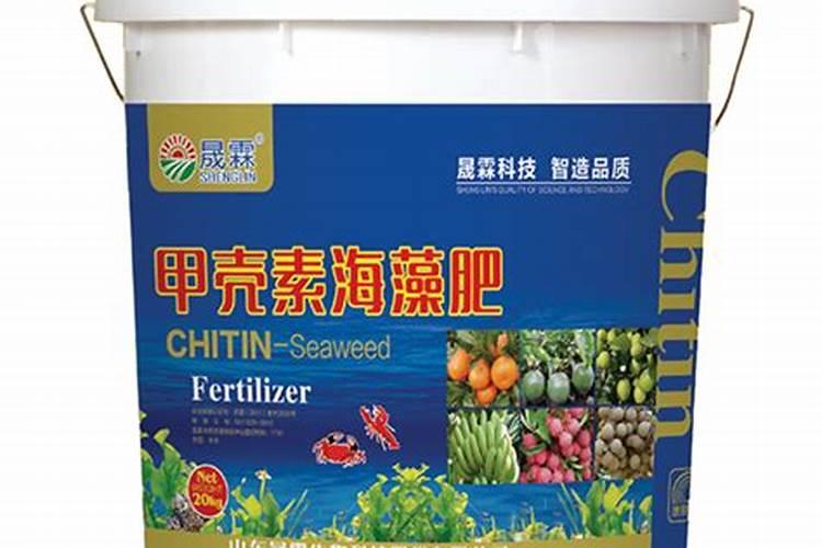 红小豆包衣用什么好？