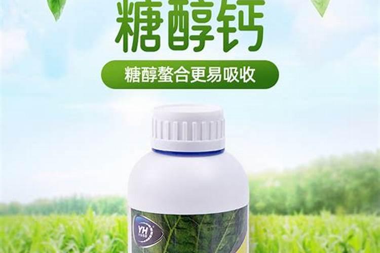 叶面喷施硼肥的最佳时间硼肥应该怎么用