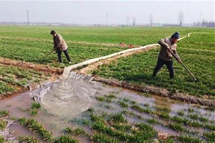 种花生用什么复合肥最好