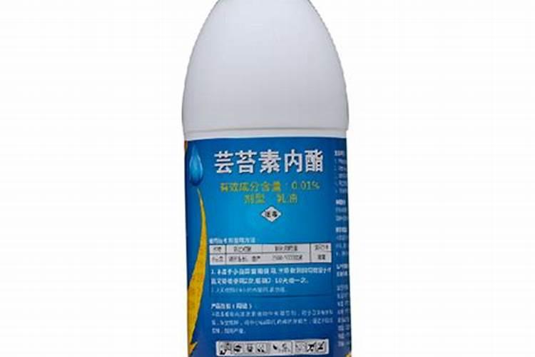 西红柿加白糖叫雪什么啊 西红柿加白糖叫雪什么名字