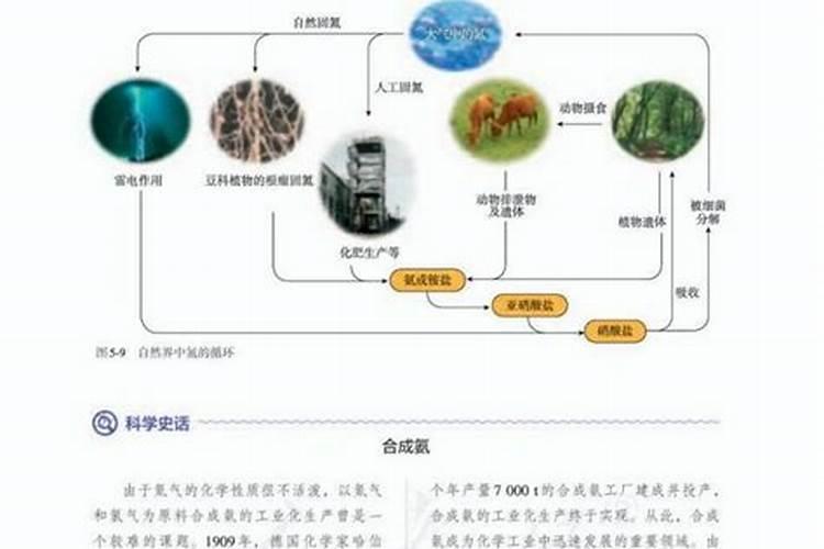 硝酸铵是氮肥吗