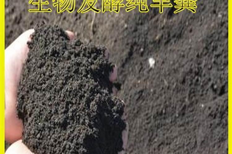 芸苔素和哪些肥料搭配使用,效果最佳呢？