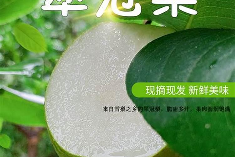 兰花施什么肥