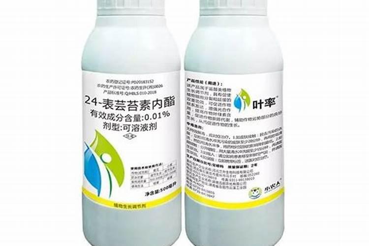 吡唑醚菌酯可以和芸苔素混配,但是注意要先这样做？