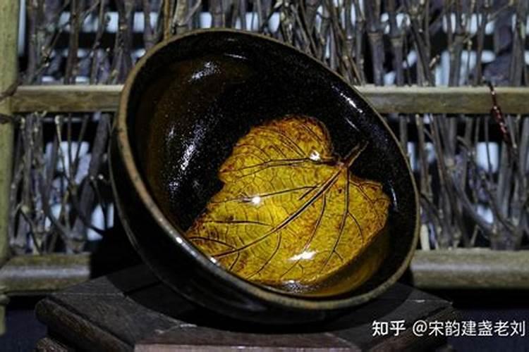 沙糖桔环剥过度叶子发黄怎么办,是不是耍淋什么肥料使树叶转绿？