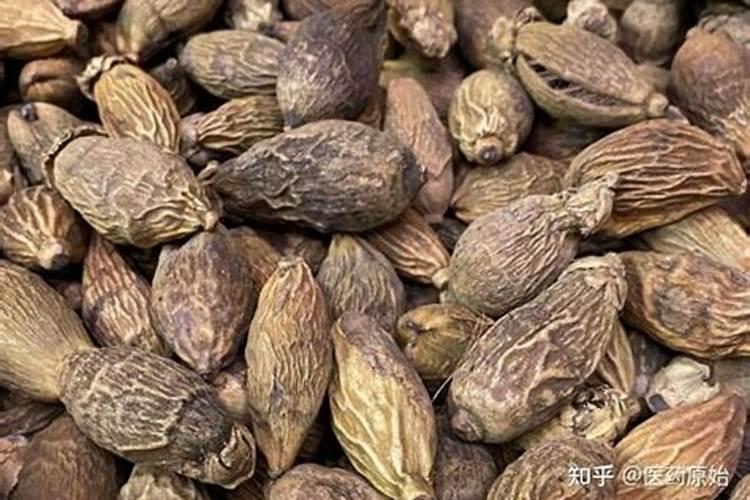 高磷水溶肥什么时候用
