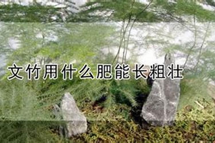 十大水溶肥品牌都有啥,国产的前十名,知名的水溶肥厂家有哪些？